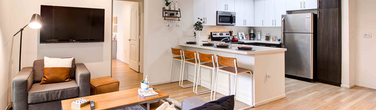 Furnished apartment living space