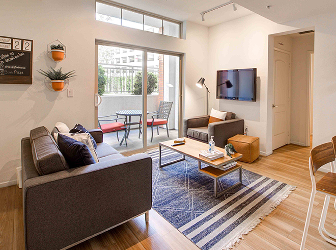 Furnished apartment living space